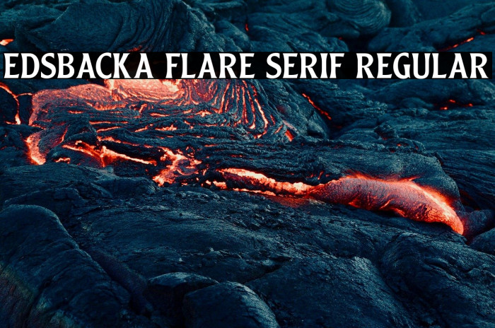 Edsbacka Flare Serif Regular Example 3