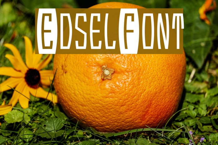 EdselFont Font examples