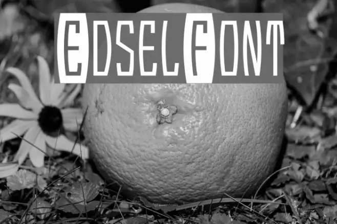 EdselFont Example 2