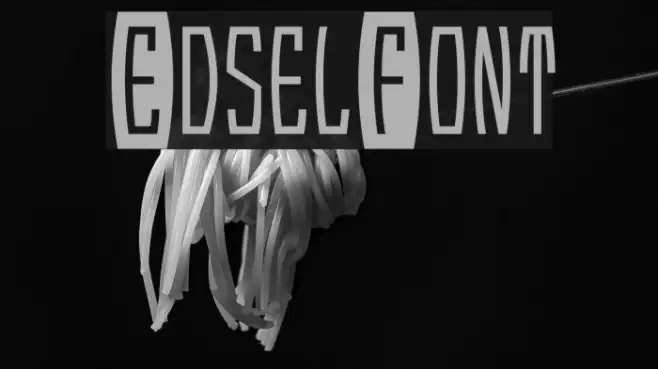 EdselFont Example 3