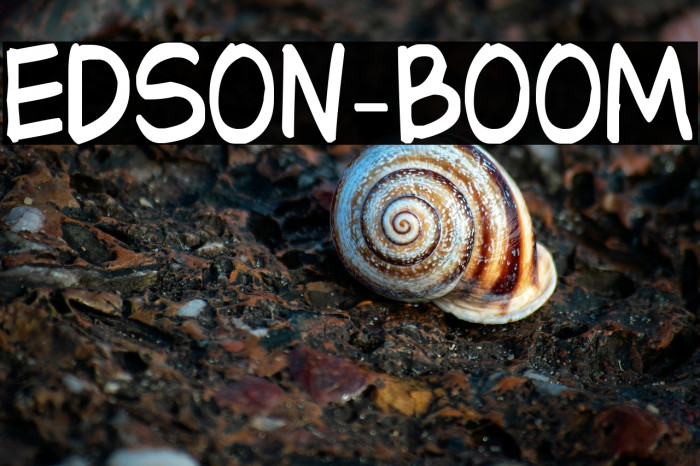 Edson-BOOM Example 2