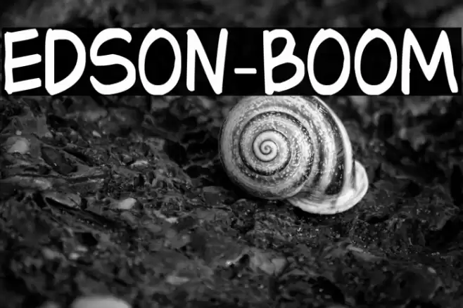Edson-BOOM Шрифта examples