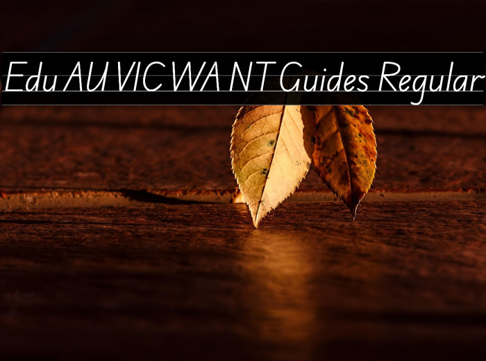 Edu AU VIC WA NT Guides Regular Example 1