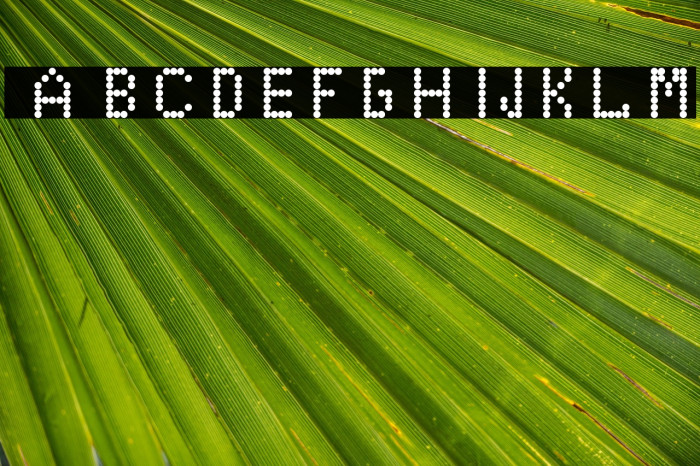 EduOwl-font Regular Example 1