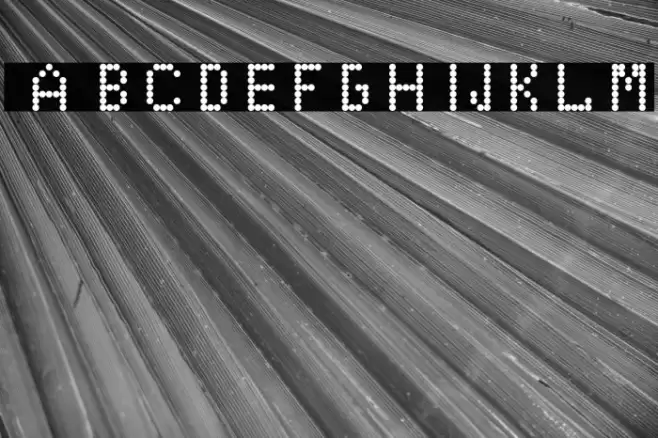 EduOwl-font Regular Font examples