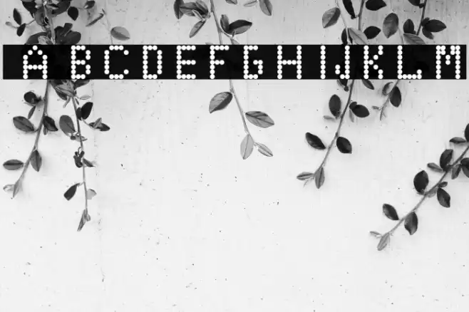 EduOwl-font Regular Font examples