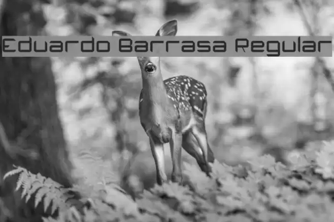 Eduardo Barrasa Regular Font examples