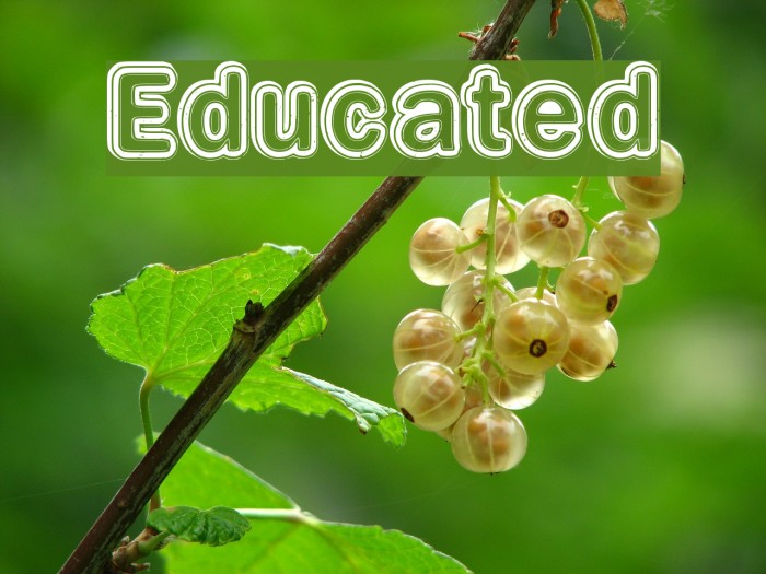 Educated Font examples