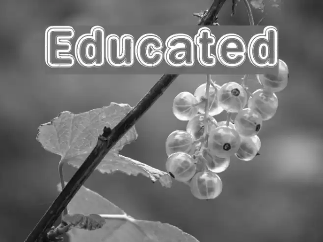 Educated Font examples