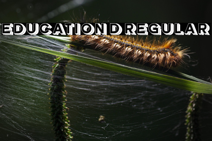 Education 3D Regular Example 1