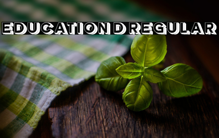 Education 3D Regular Example 3