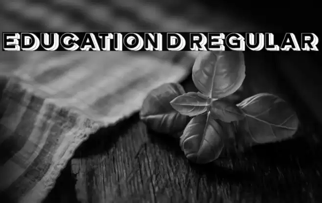 Education 3D Regular Font examples