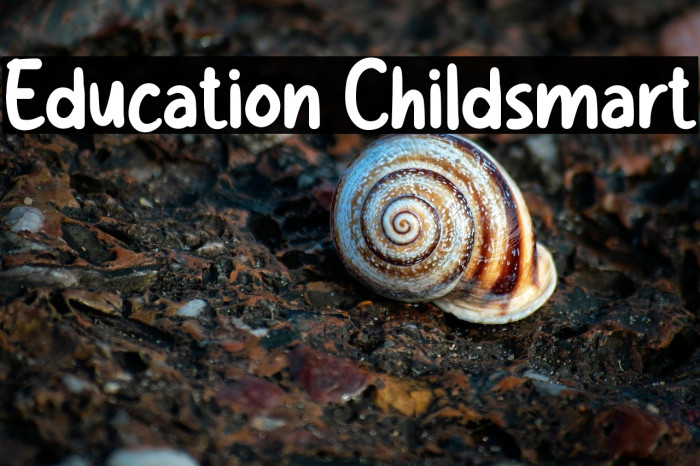 Education Childsmart Example 2