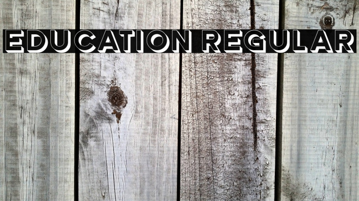 Education Regular Example 2