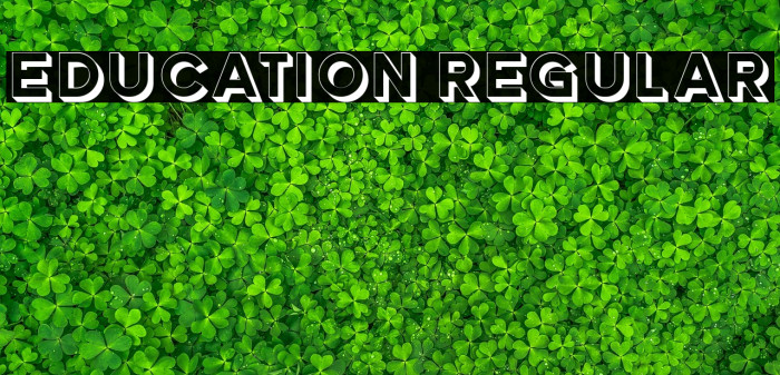 Education Regular Example 3