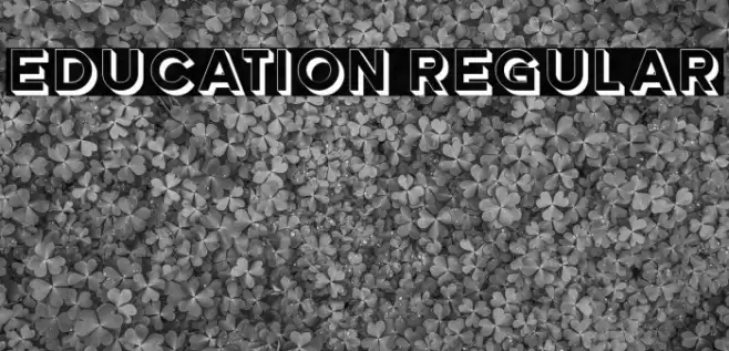 Education Regular Font examples