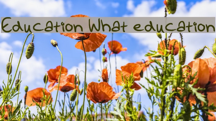 Education What education Polices examples