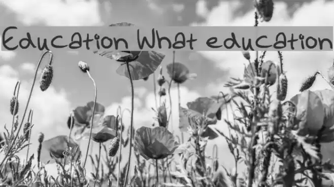 Education What education Polices examples