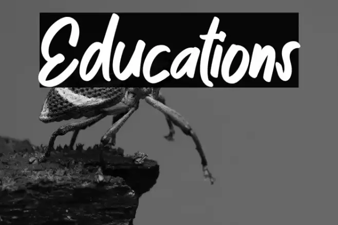 Educations Font examples