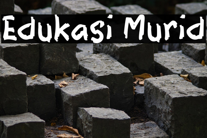 Edukasi Murid Example 2