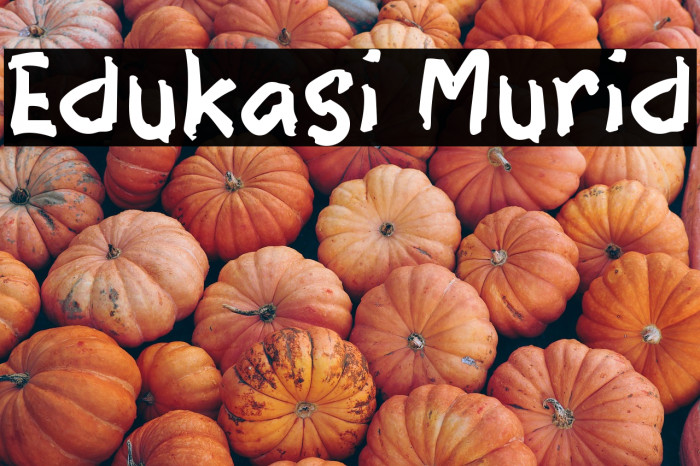 Edukasi Murid Example 3