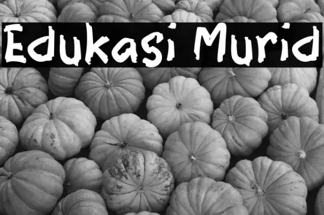 Edukasi Murid Example 3