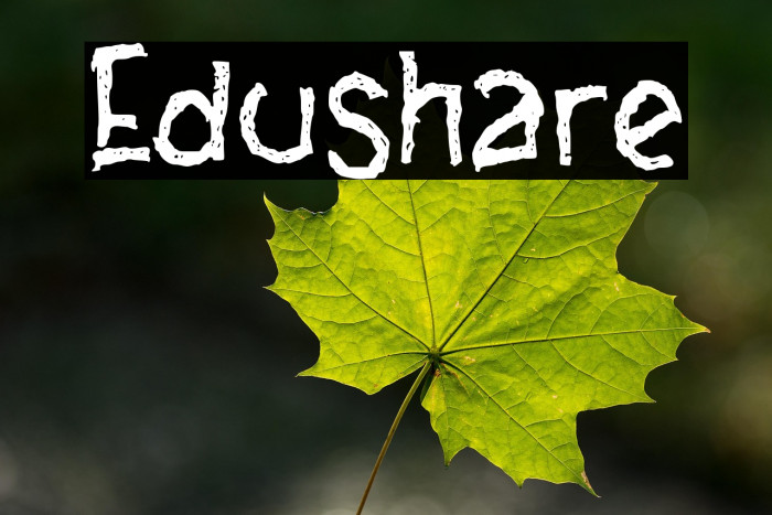 Edushare Example 2
