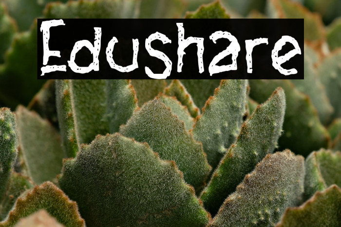 Edushare Example 3