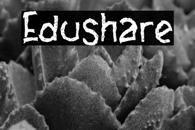 Edushare Font examples