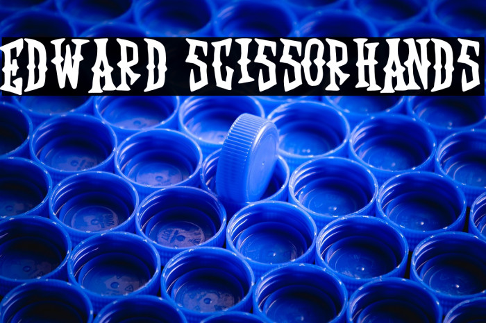 Edward Scissorhands Example 2