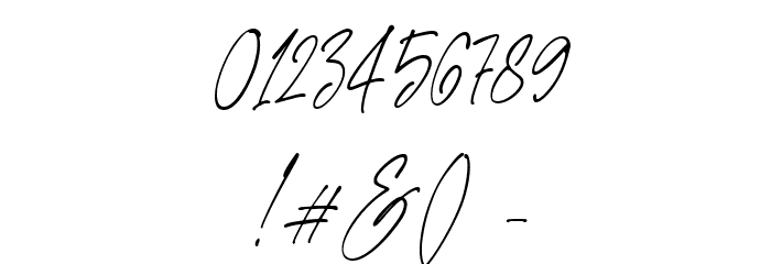 Edward Signature Regular Font OTHER CHARS