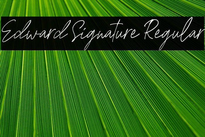 Edward Signature Regular Example 1