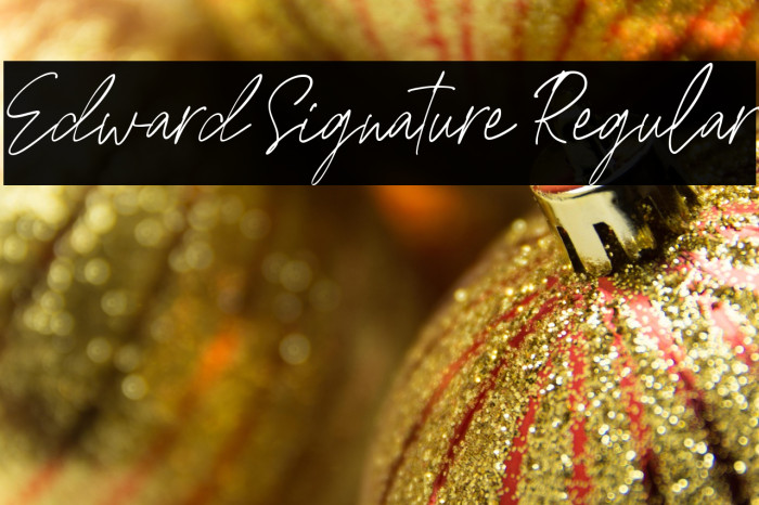 Edward Signature Regular Example 2