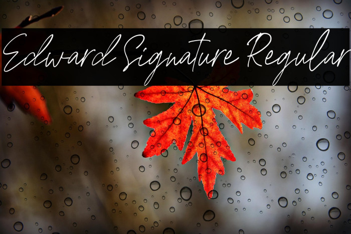 Edward Signature Regular Example 3