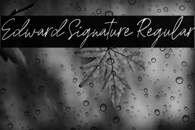Edward Signature Regular Example 3