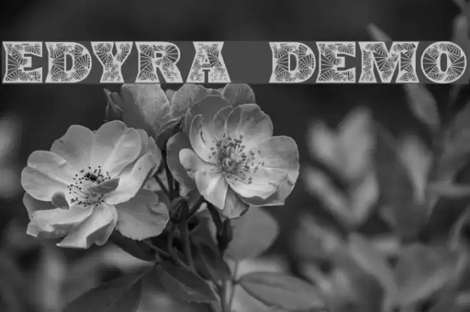 Edyra Demo Font examples