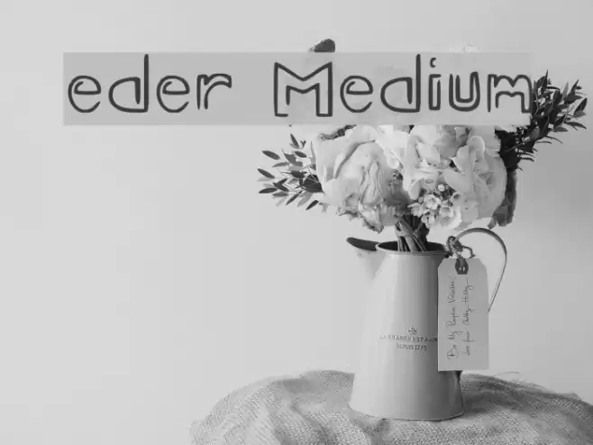 eder Medium Font examples