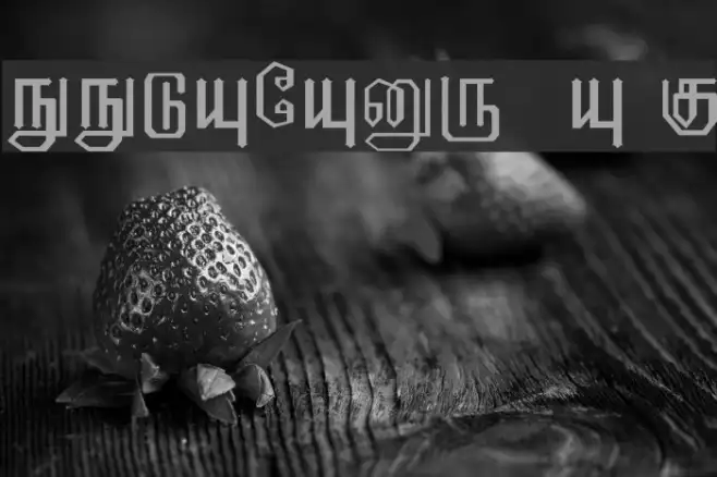 EELANADU by Aharam Fonts Example 1