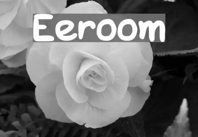 Eeroom Font examples
