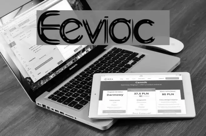 Eeviac Example 1