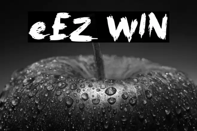 eEZ WIN Font examples