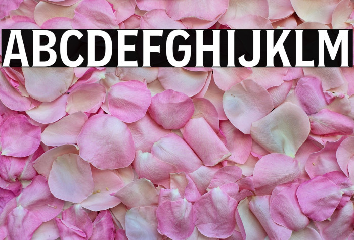 EFCO Overhold DEMO Example 3