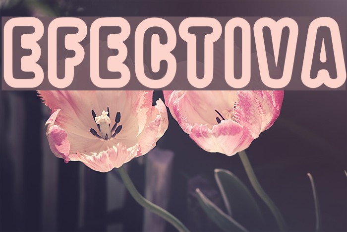 EFECTIVA Font examples