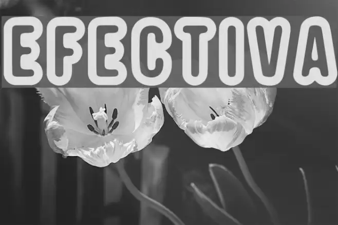 EFECTIVA Example 1