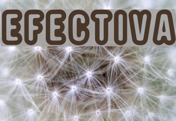 EFECTIVA Font examples