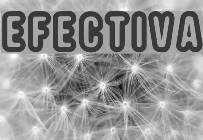 EFECTIVA Example 2
