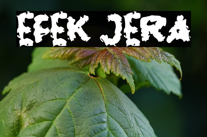 EFEK JERA Example 1