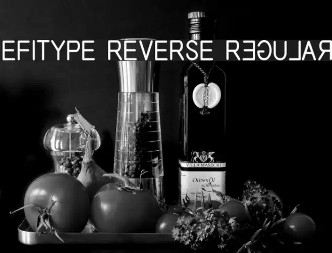 EFITYPE REVERSE Regular Font examples
