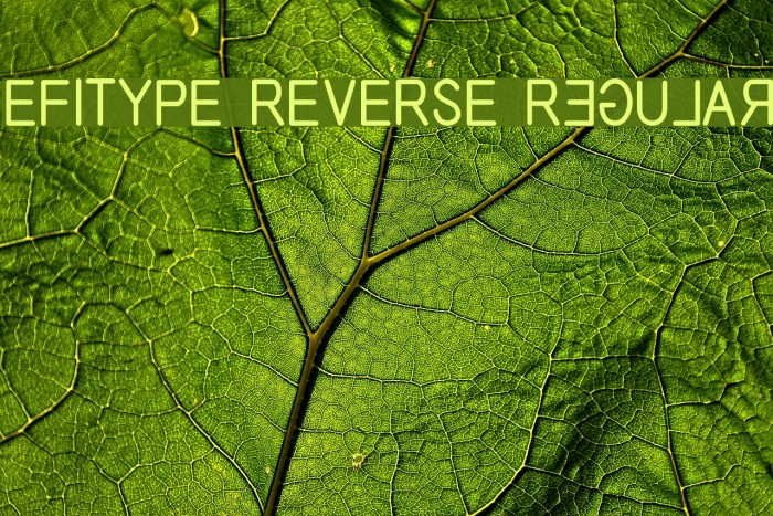EFITYPE REVERSE Regular Font examples