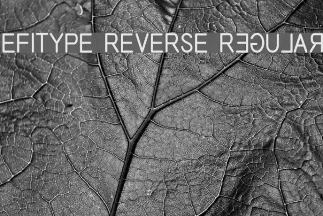 EFITYPE REVERSE Regular Font examples